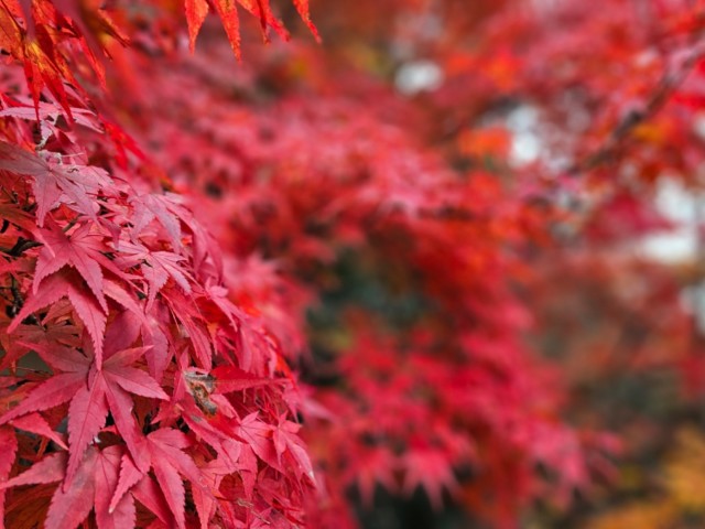 We dwoje, 10 spotkań po 1h (cena za 1 osobę)